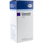 LINCOCIN ORAL SUSPENSION LINCOMYCIN 250MG/5ML 100ML